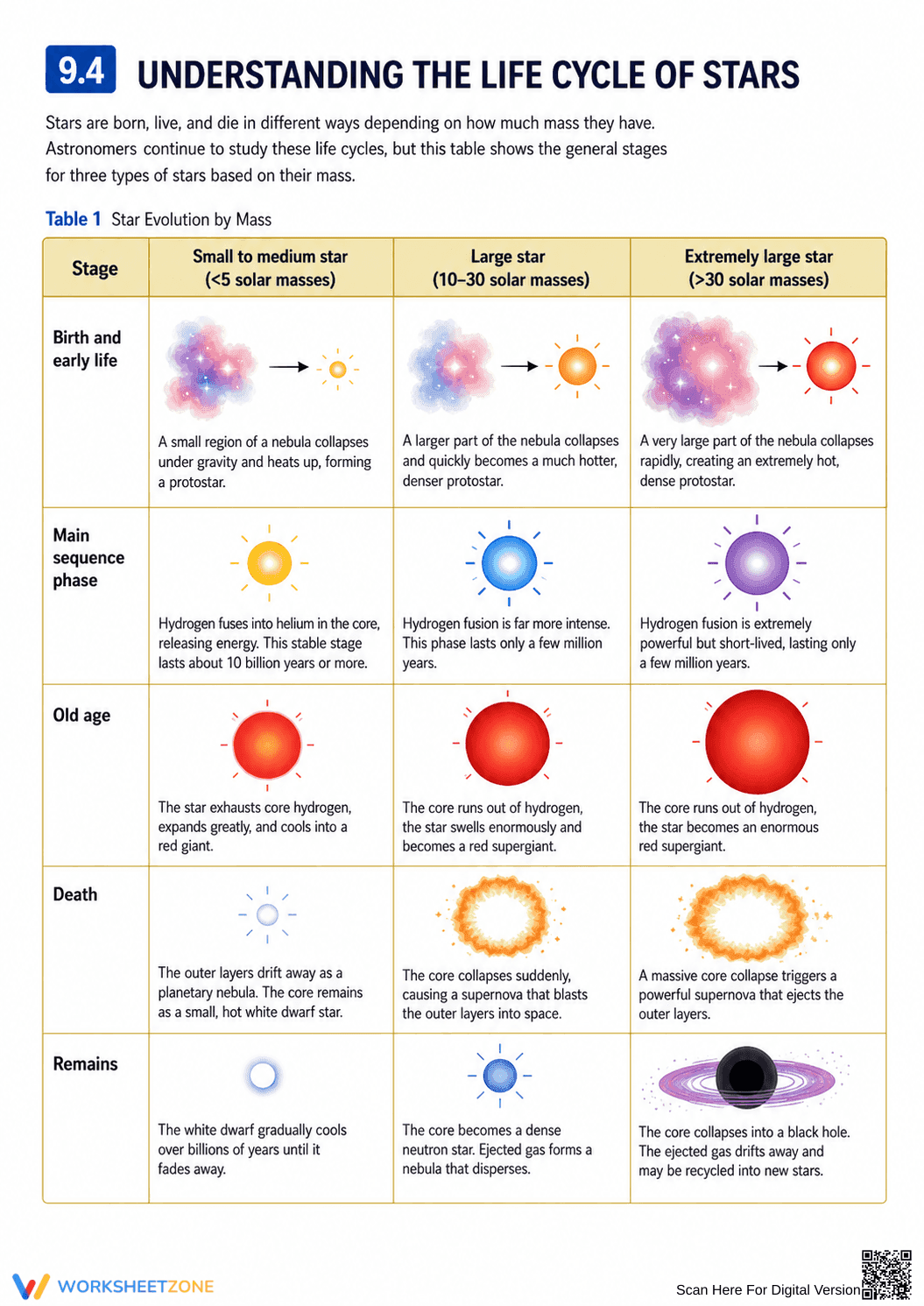 Life Cycle of Stars Essential Worksheet | Grade 9-12 - Page 7