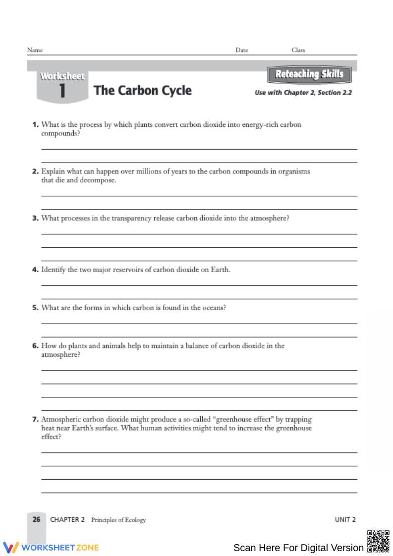 Carbon Cycle Diagram for Ecology Education - Page 2