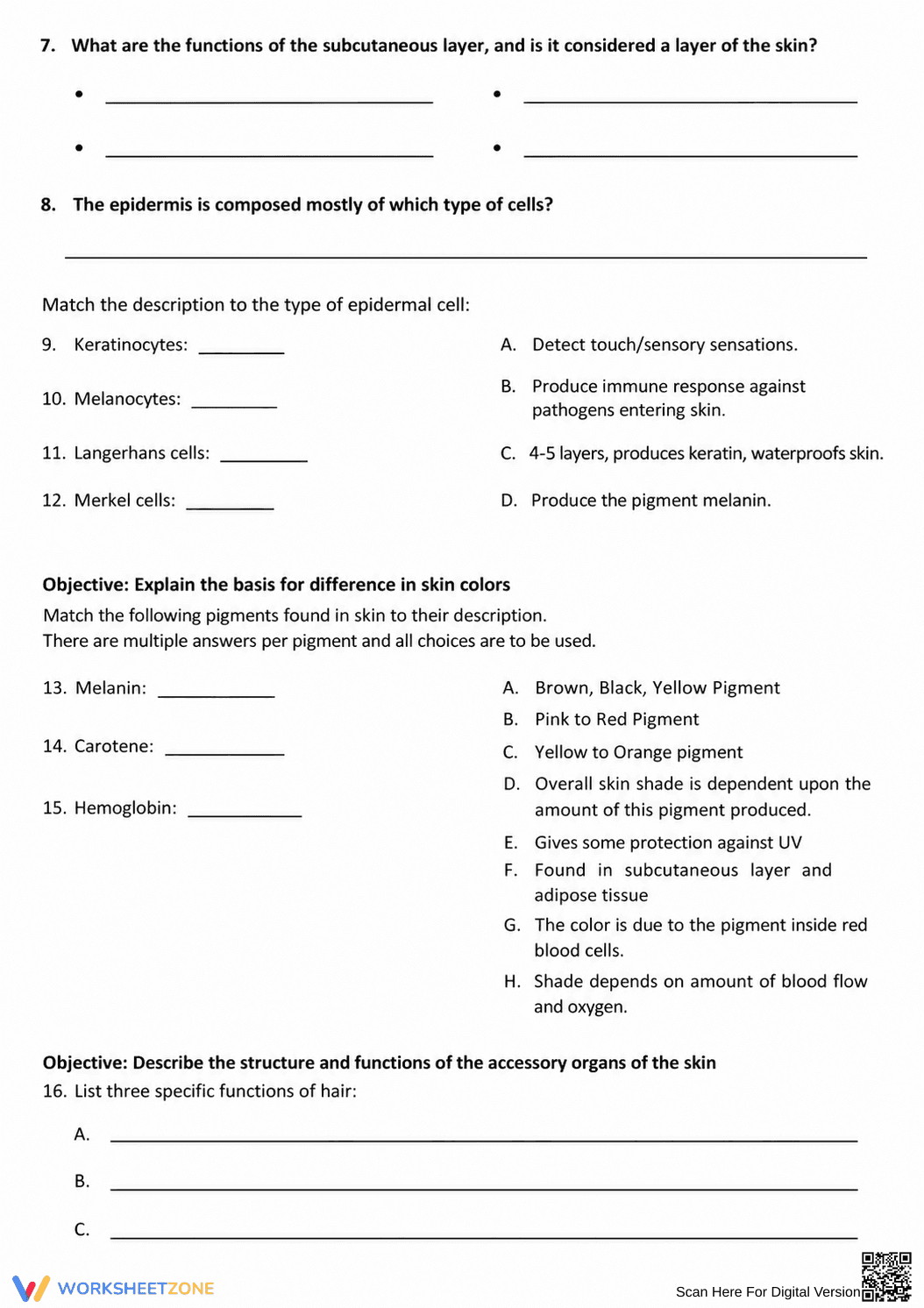 Integumentary System Review | Essential Grade 9 Biology - Page 2