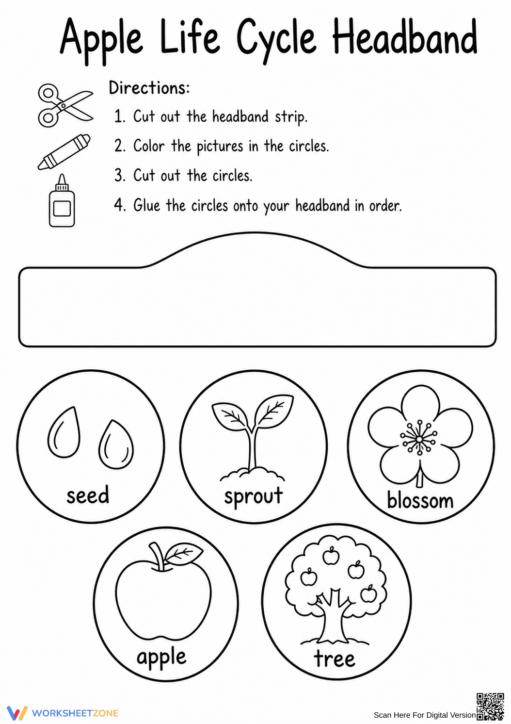 Grade K Apple Life Cycle — Printable No-Prep Worksheet - Page 2