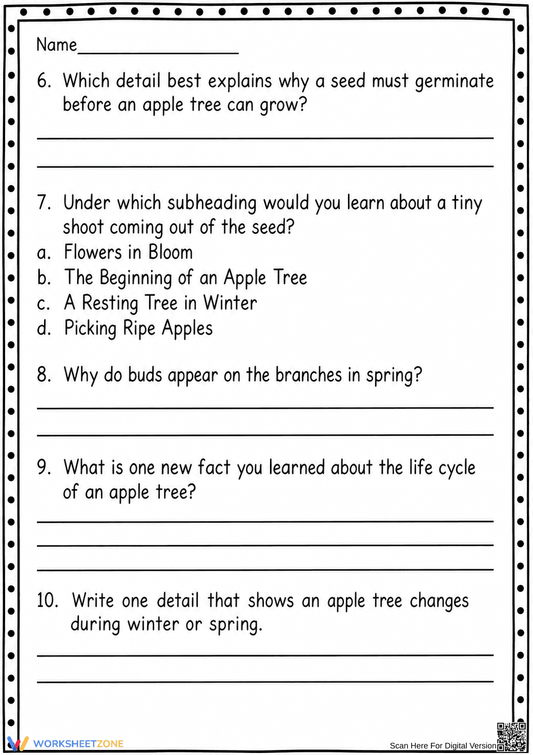 Apple Life Cycle Reading | Essential Grade 3 - Page 4