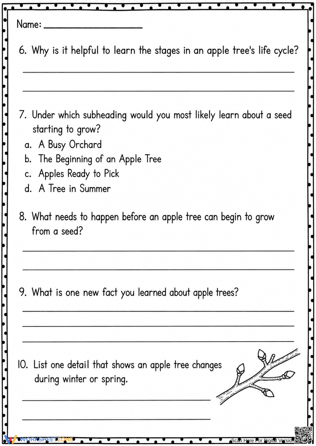 Apple Life Cycle Reading | Essential Grade 3 - Page 6