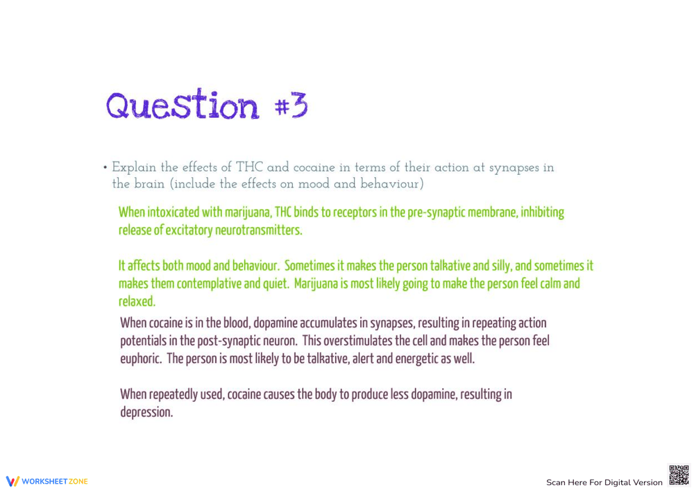 Mouse Party Biology Worksheet | Grade 10-12 Essential - Page 3