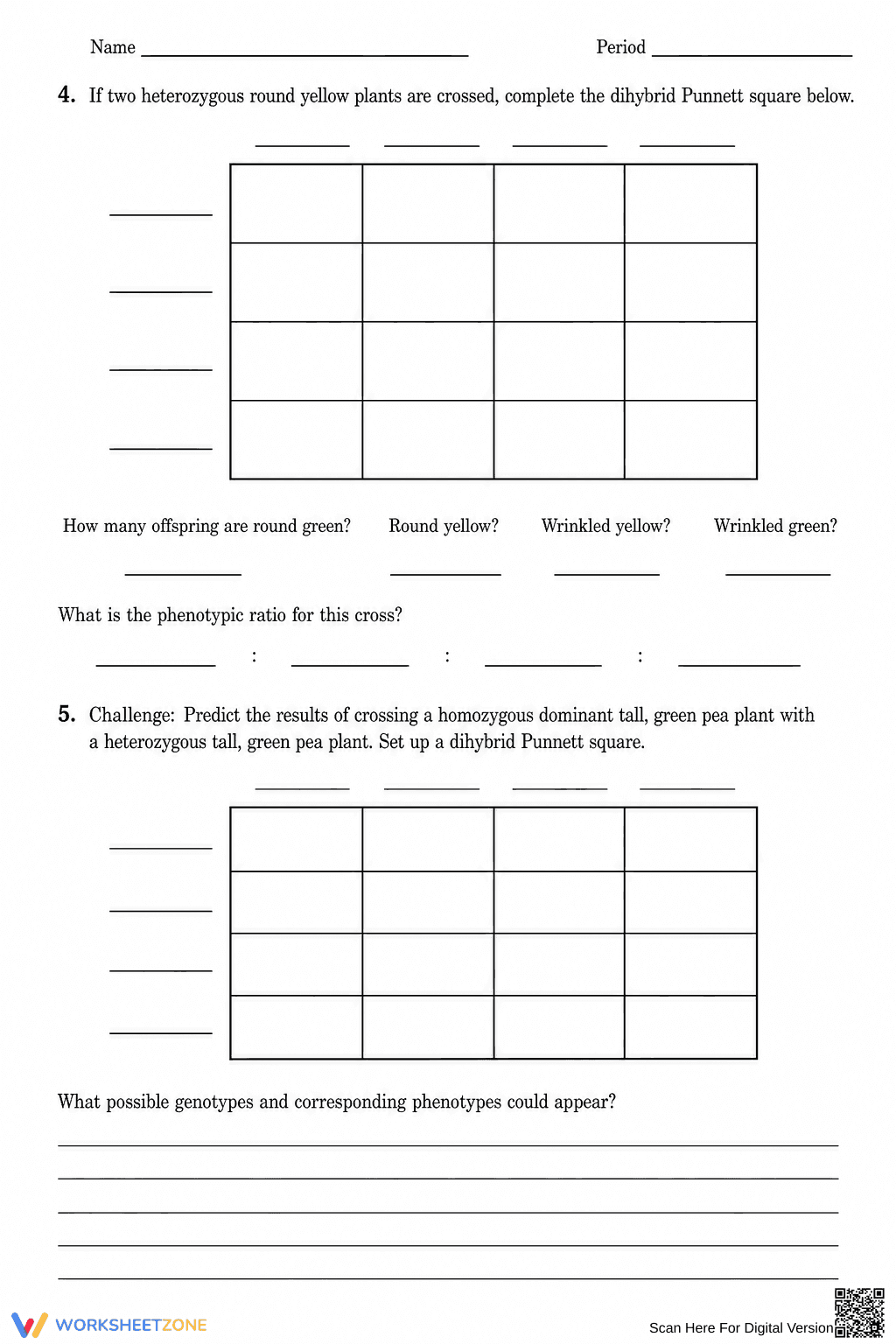 Printable Dihybrid Cross Worksheet | Grade 9-11 Biology - Page 2