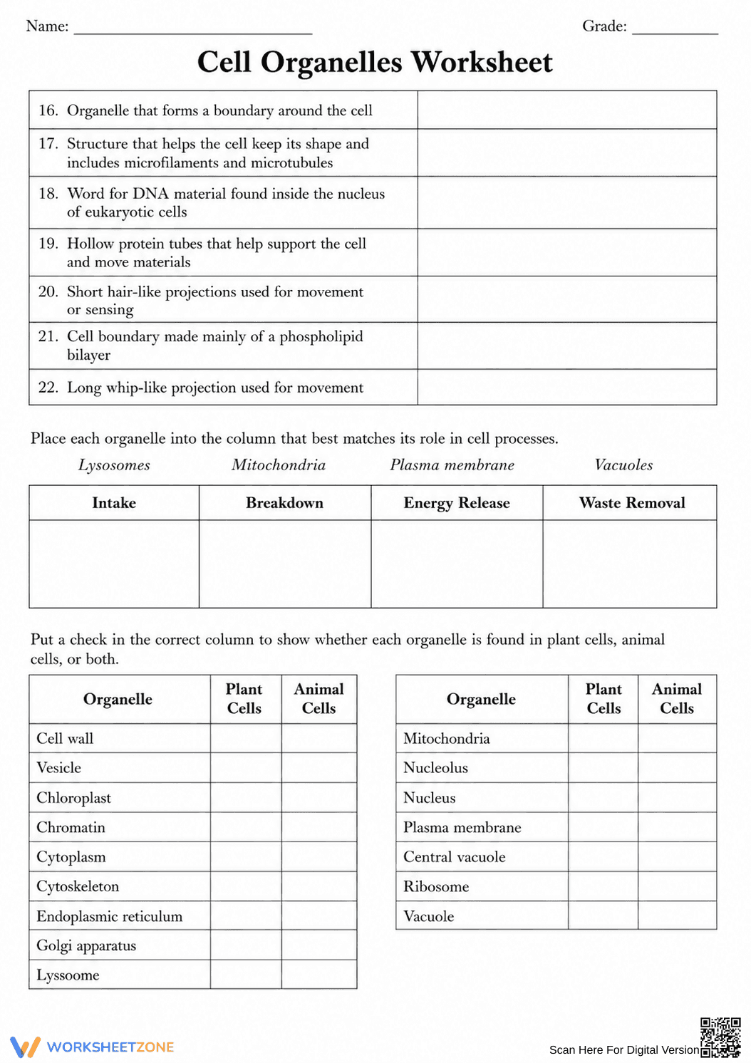 Grade 9 Cell Organelles — Printable No-Prep Worksheet - Page 2