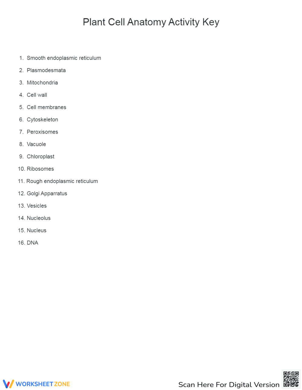 Plant Cell Anatomy: Interactive Activity Worksheet - Page 2