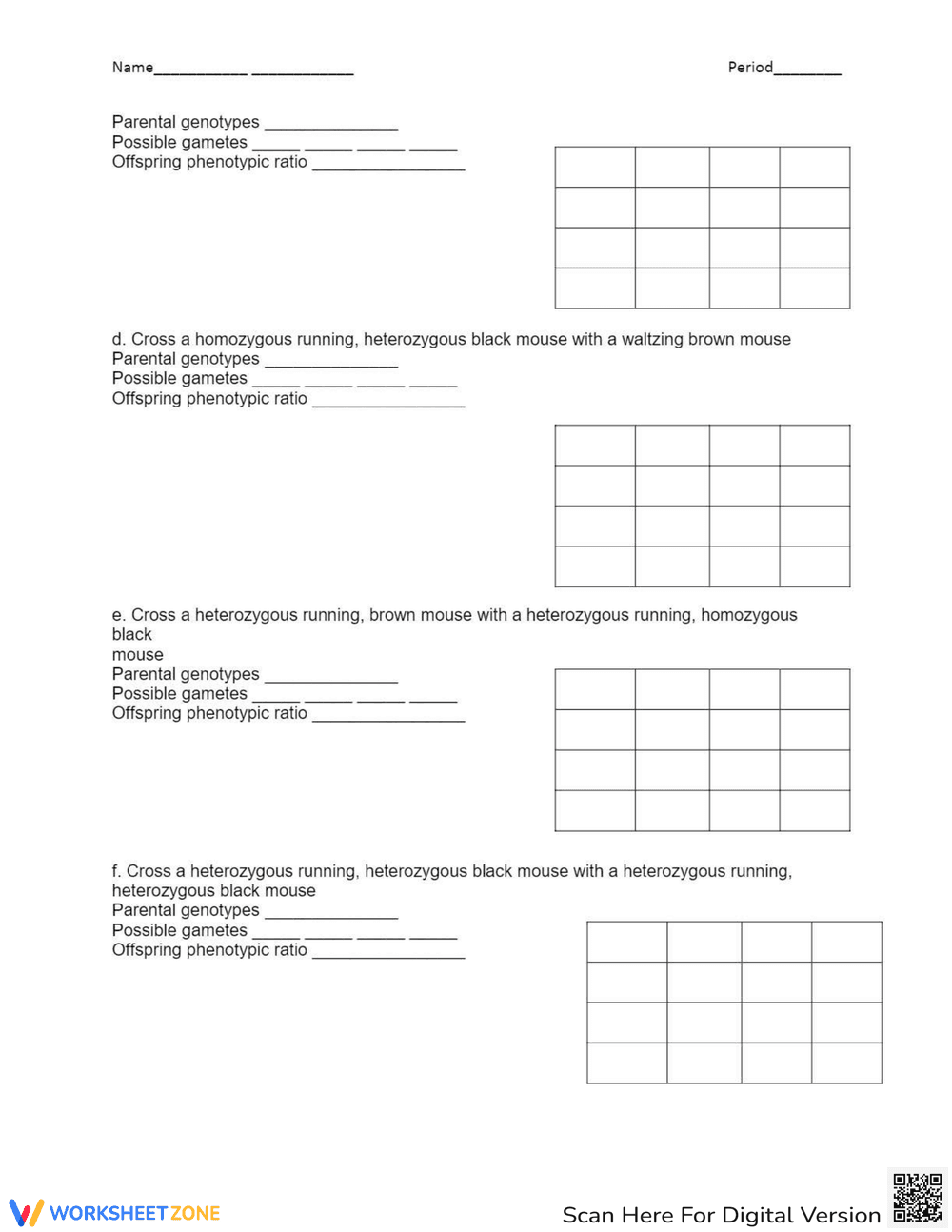 Dihybrid Crosses: Genetics Worksheet - Page 5