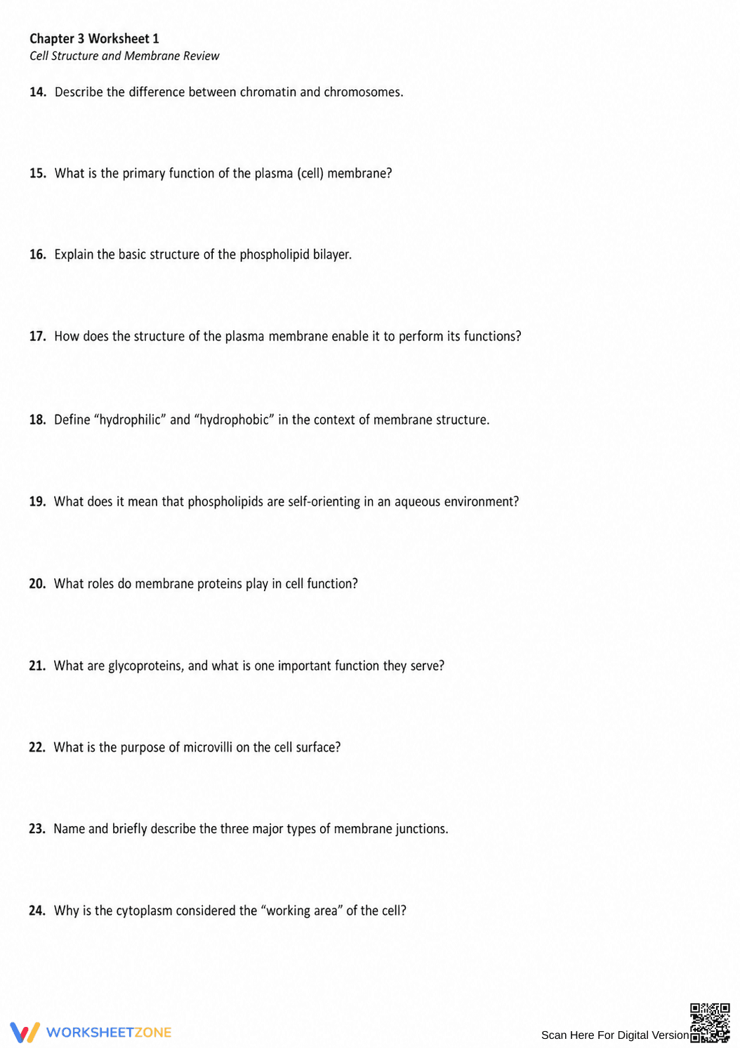 Anatomy and Physiology Cell Worksheet | Essential Grade 9-10 - Page 2