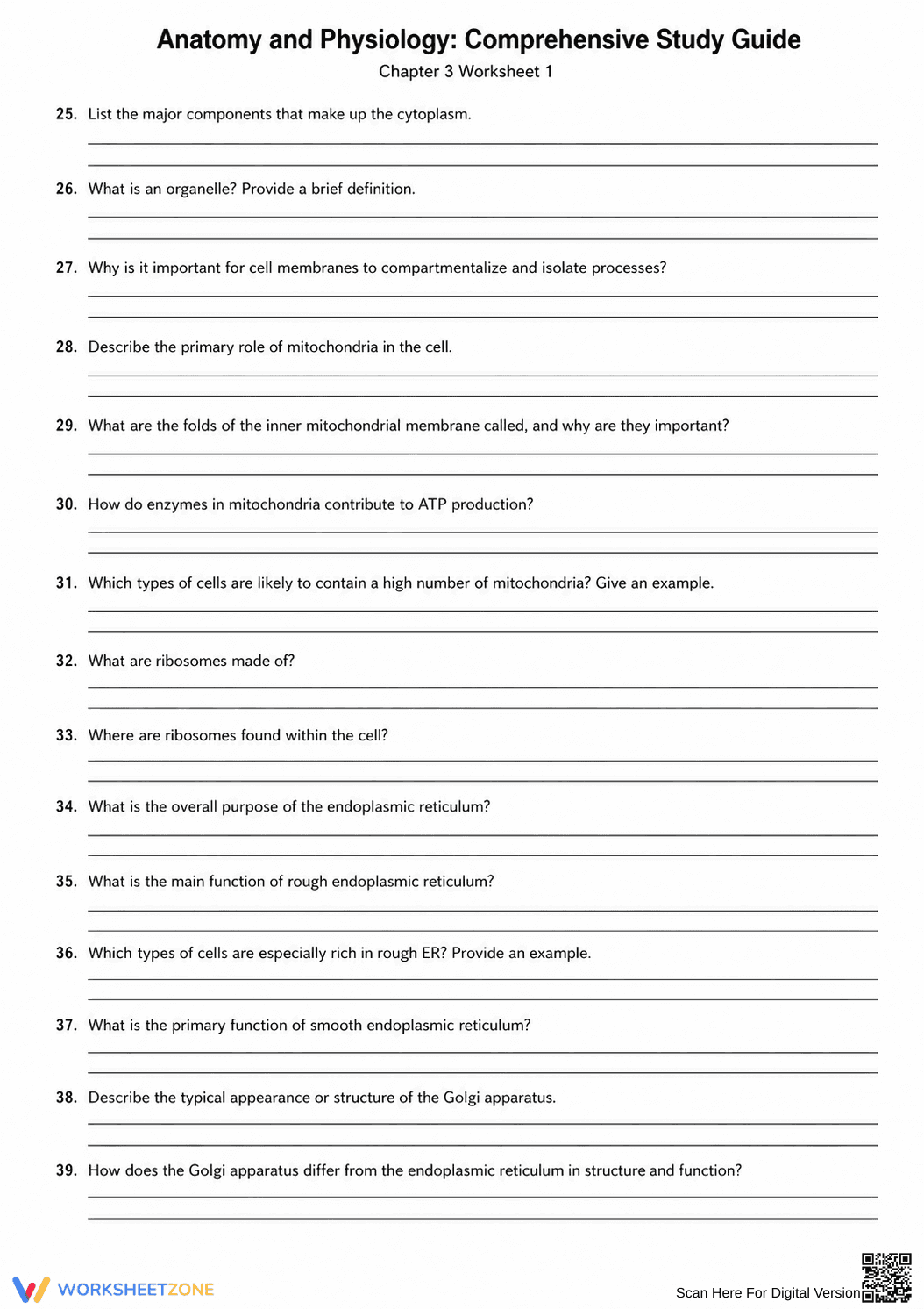 Anatomy and Physiology Cell Worksheet | Essential Grade 9-10 - Page 3