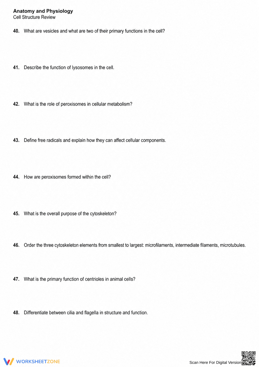 Anatomy and Physiology Cell Worksheet | Essential Grade 9-10 - Page 4