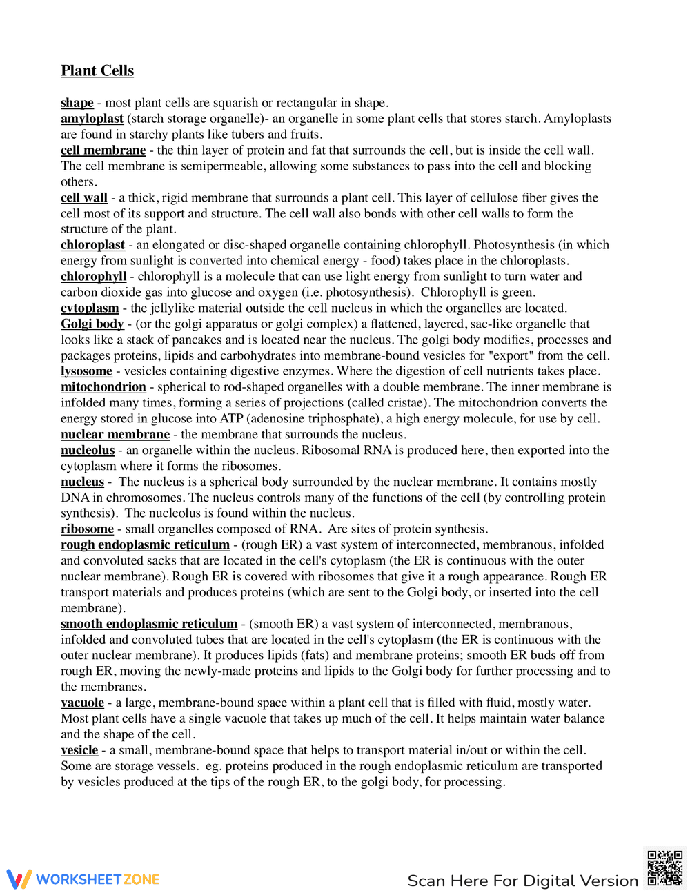 Plant & Animal Cell Comparison: Structures and Functions - Page 2