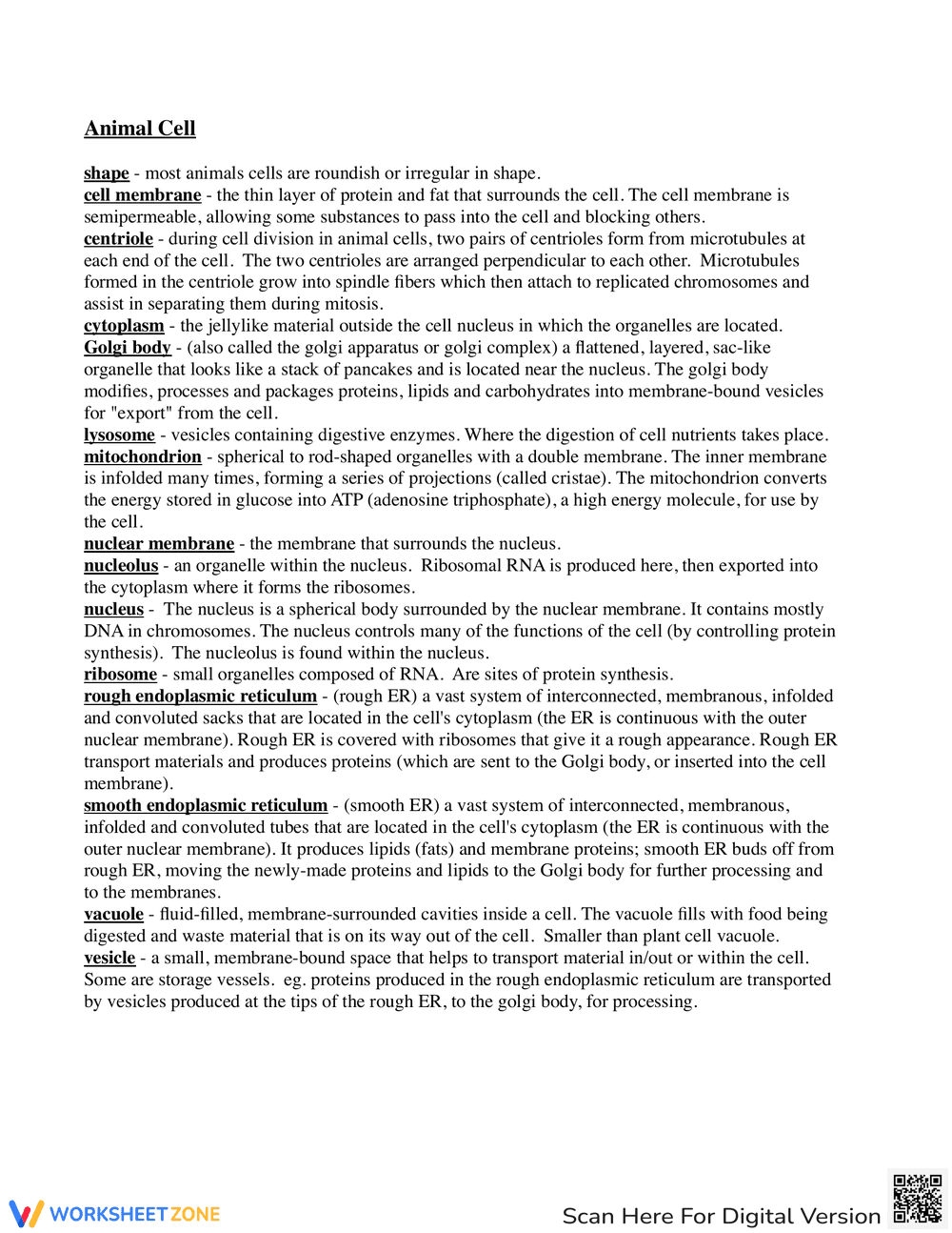 Plant & Animal Cell Comparison: Structures and Functions - Page 3