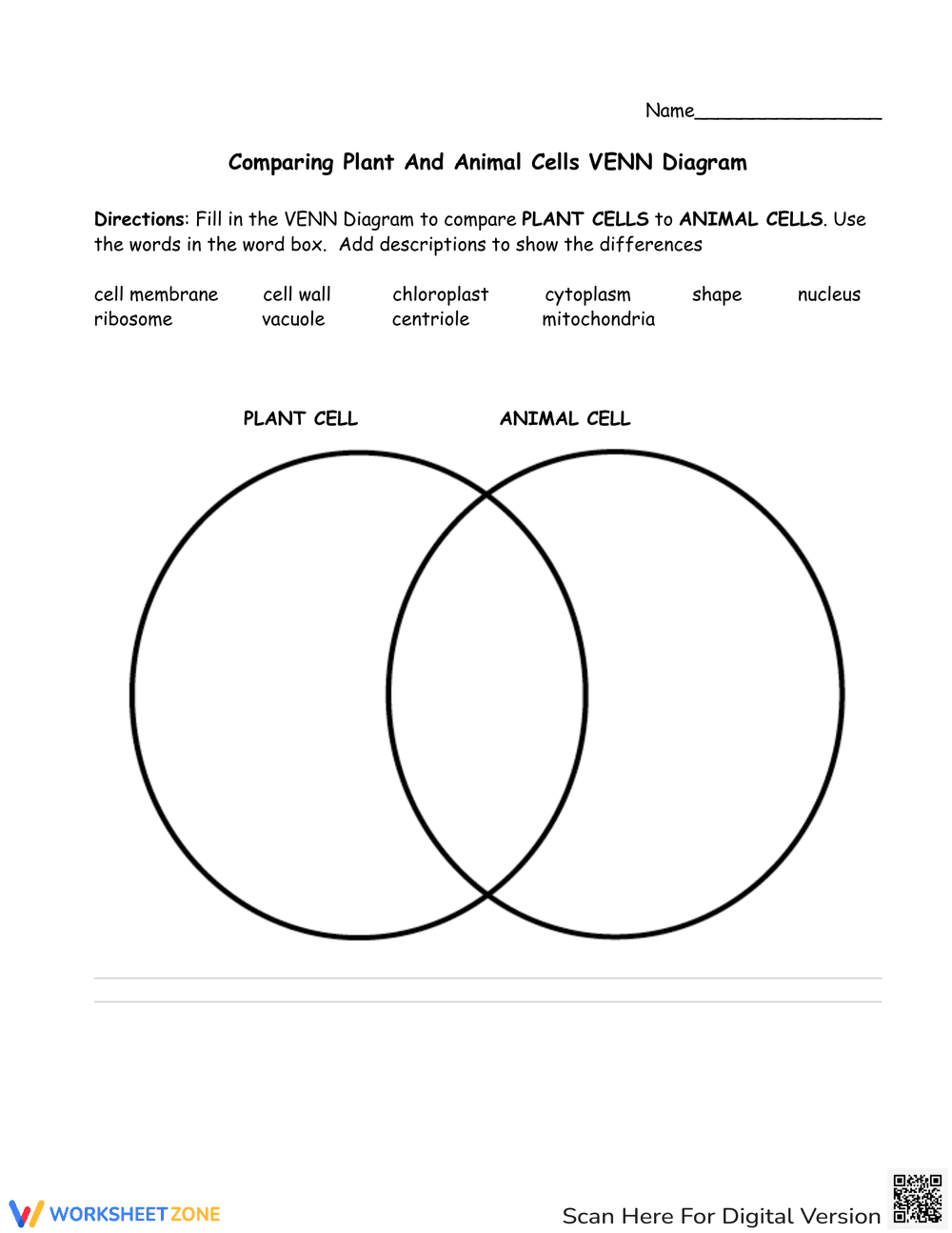 Plant & Animal Cell Comparison: Structures and Functions - Page 4