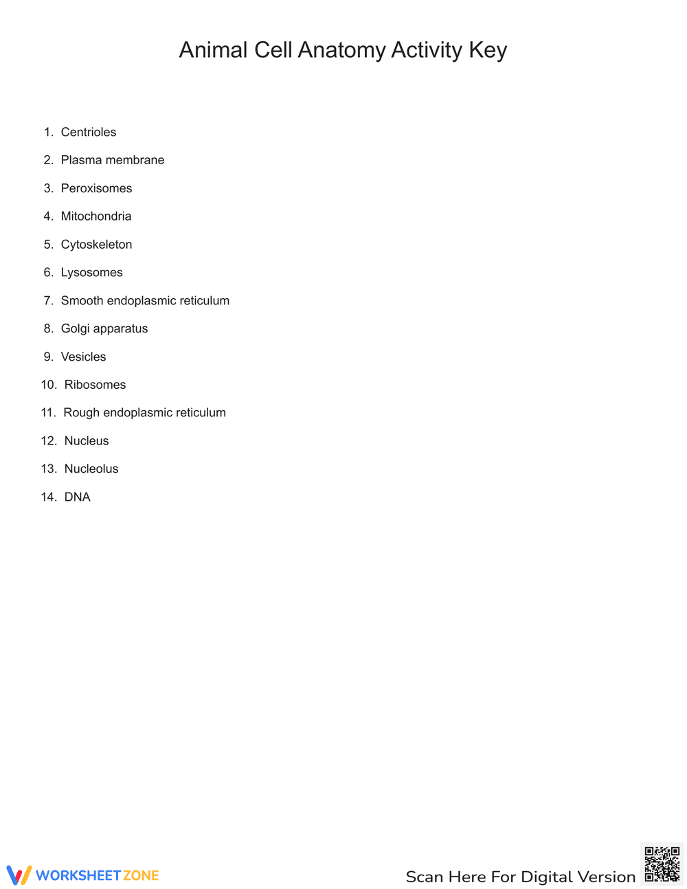 Animal Cell Anatomy: Interactive Worksheet - Page 2