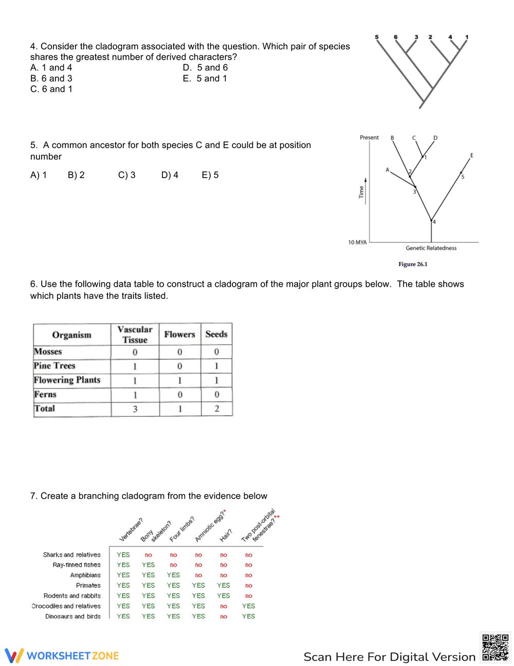 Cladogram Practice Problems Worksheet - Page 2