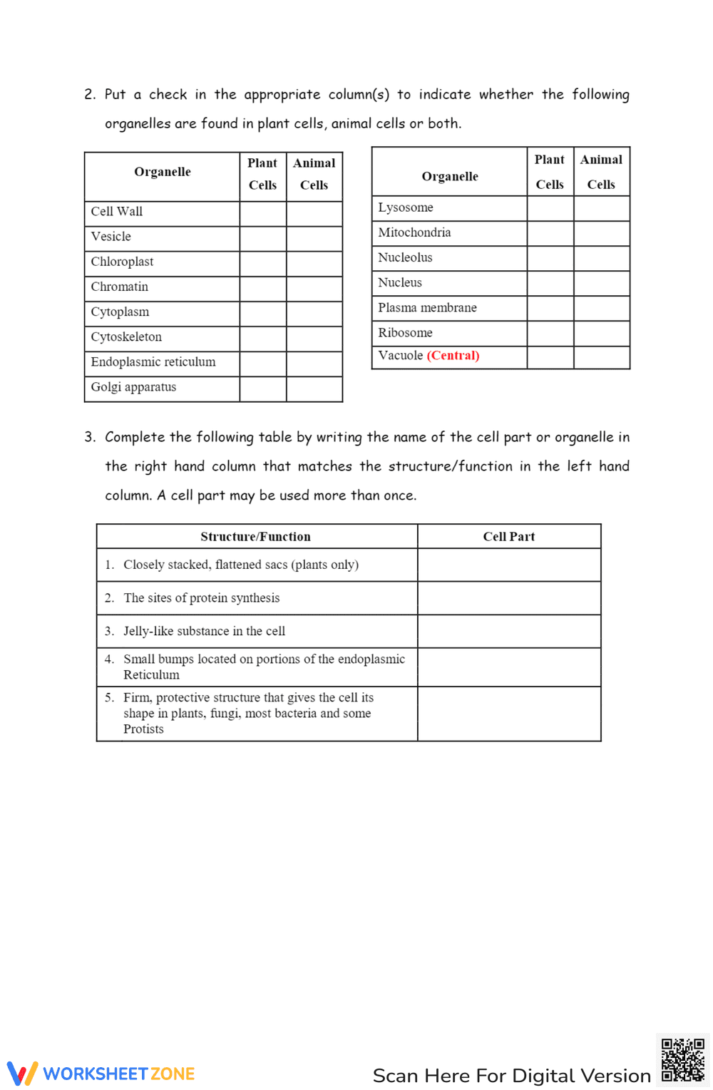 Cell Organelles Worksheet for Grade 7 - Page 2