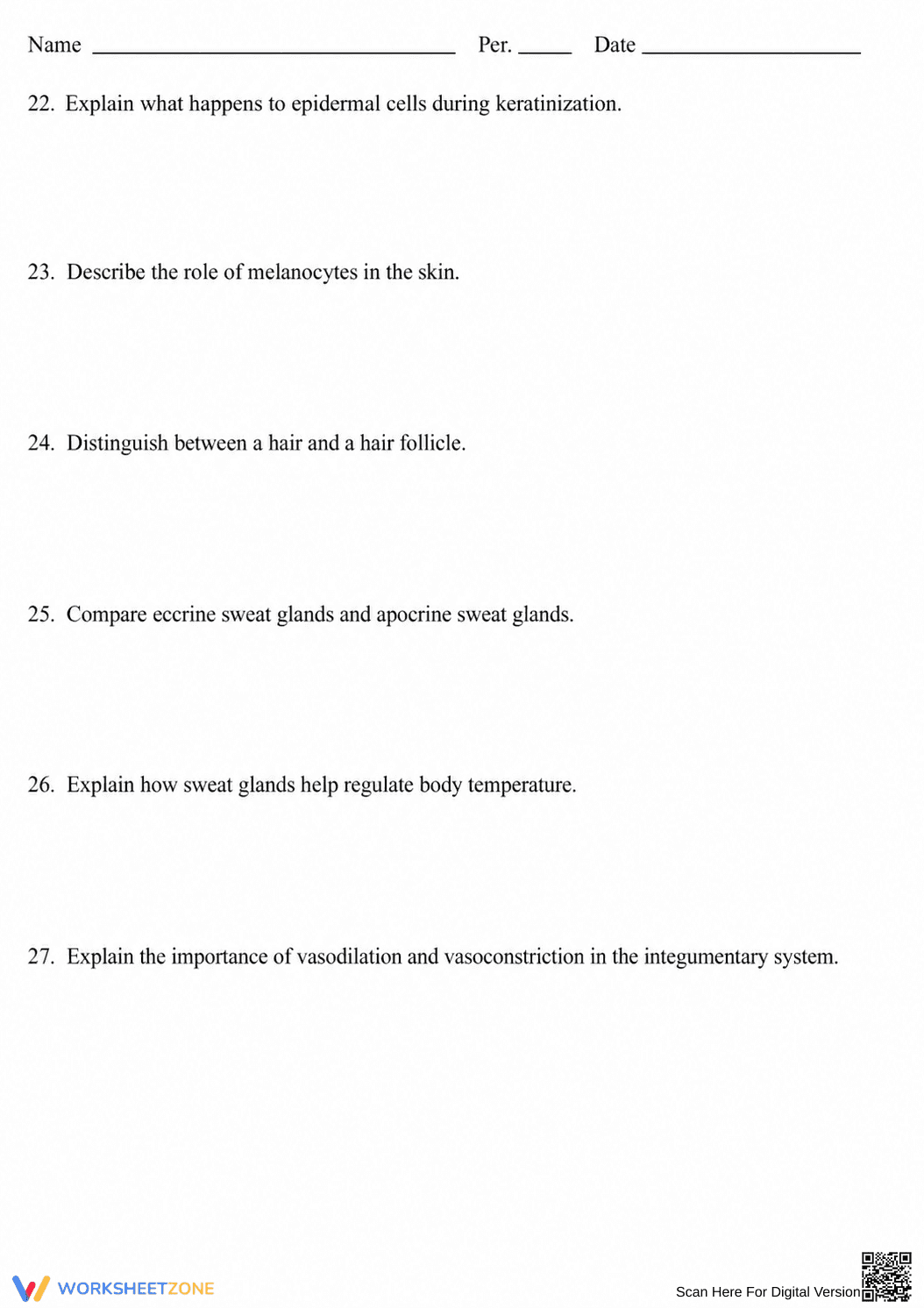 Grade 7 Integumentary System — Printable No-Prep Worksheet - Page 4
