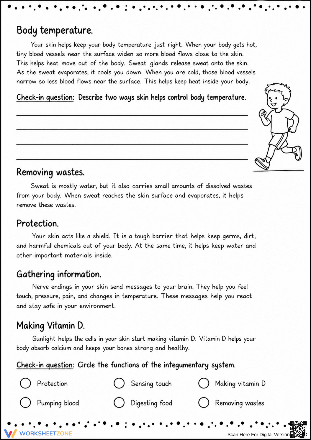 Printable Integumentary System Worksheet | Grade 6-7 - Page 2