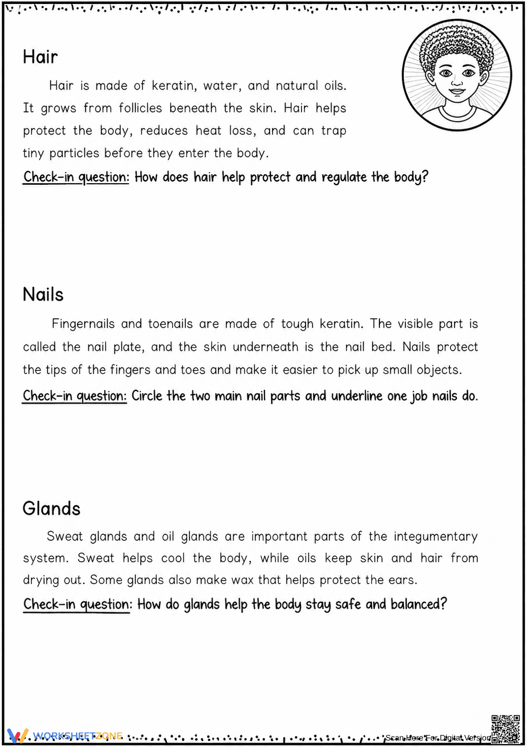 Printable Integumentary System Worksheet | Grade 6-7 - Page 4