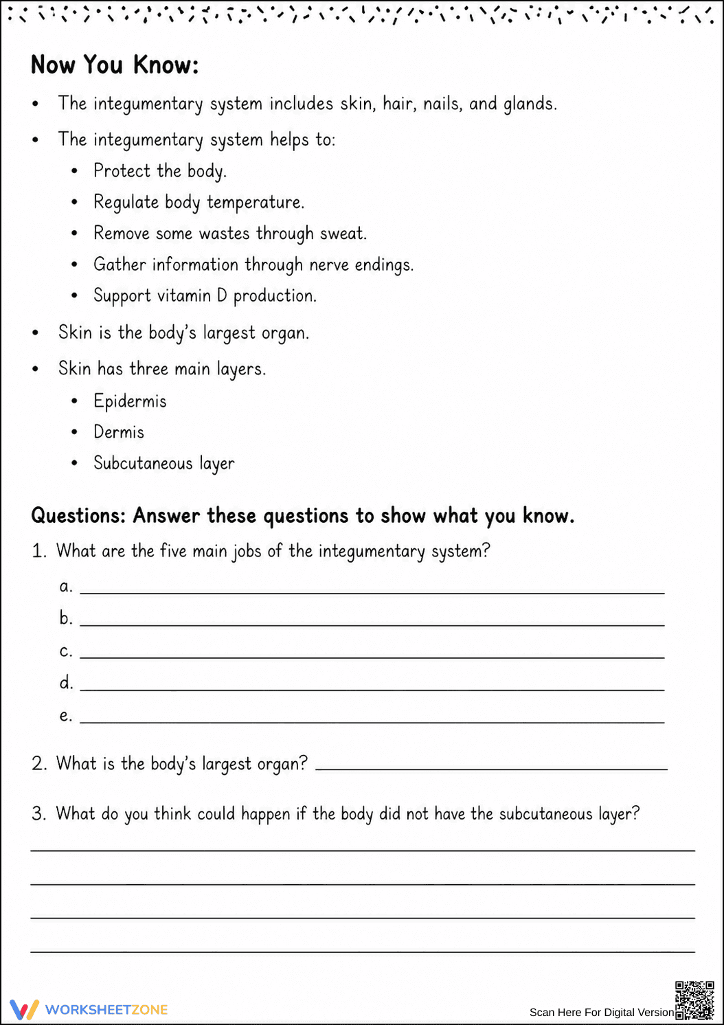 Printable Integumentary System Worksheet | Grade 6-7 - Page 5