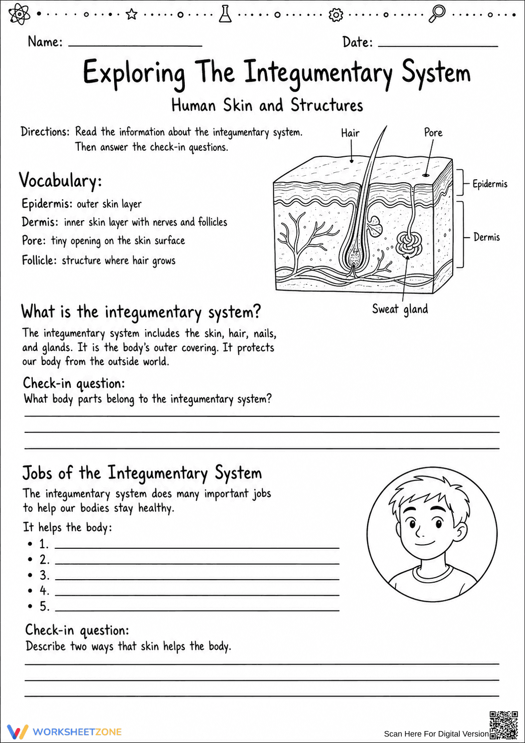 Printable Integumentary System Worksheet | Grade 6-7 - Page 6