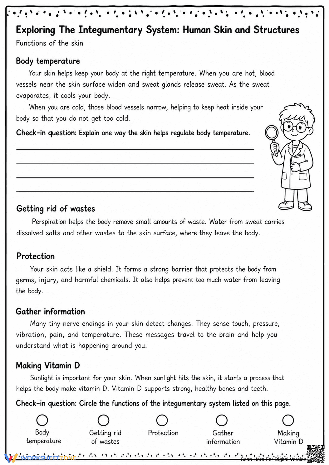 Printable Integumentary System Worksheet | Grade 6-7 - Page 7
