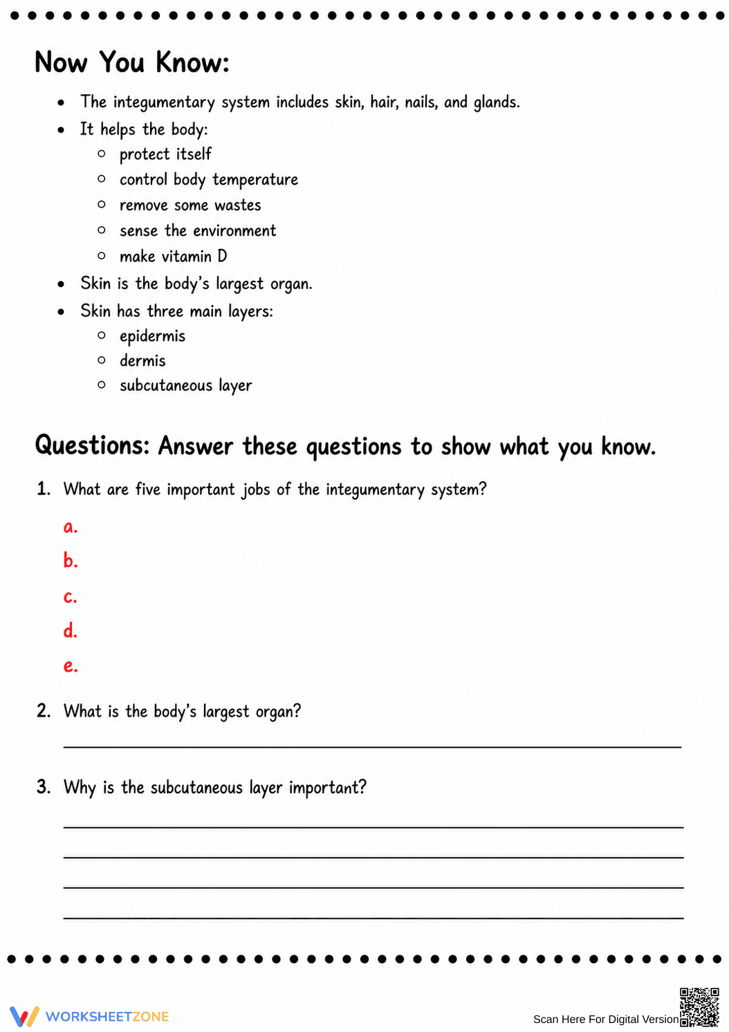 Printable Integumentary System Worksheet | Grade 6-7 - Page 10
