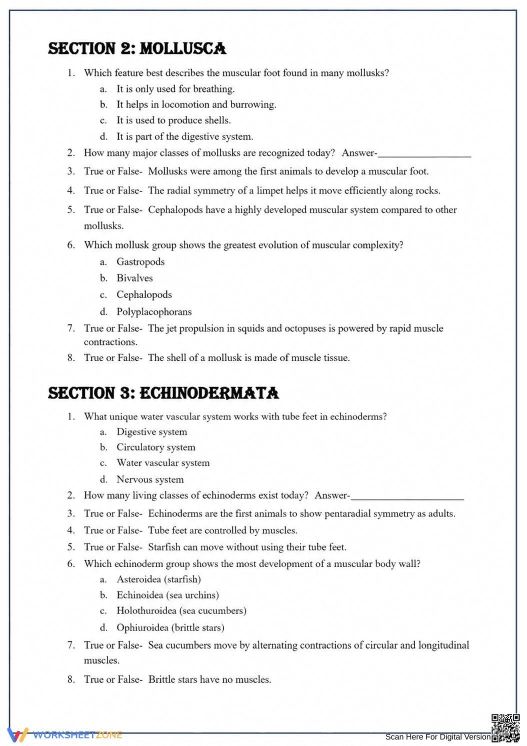 Printable Muscular System Evolution Worksheet | Grade 8-10 - Page 3