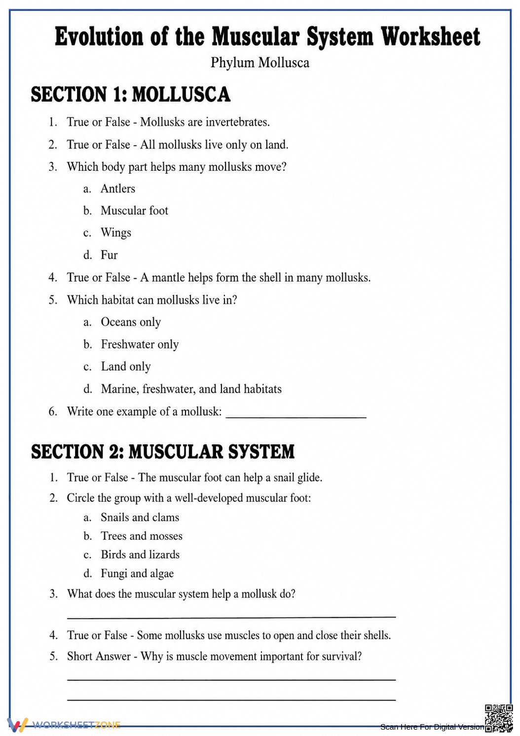 Printable Muscular System Evolution Worksheet | Grade 8-10 - Page 4