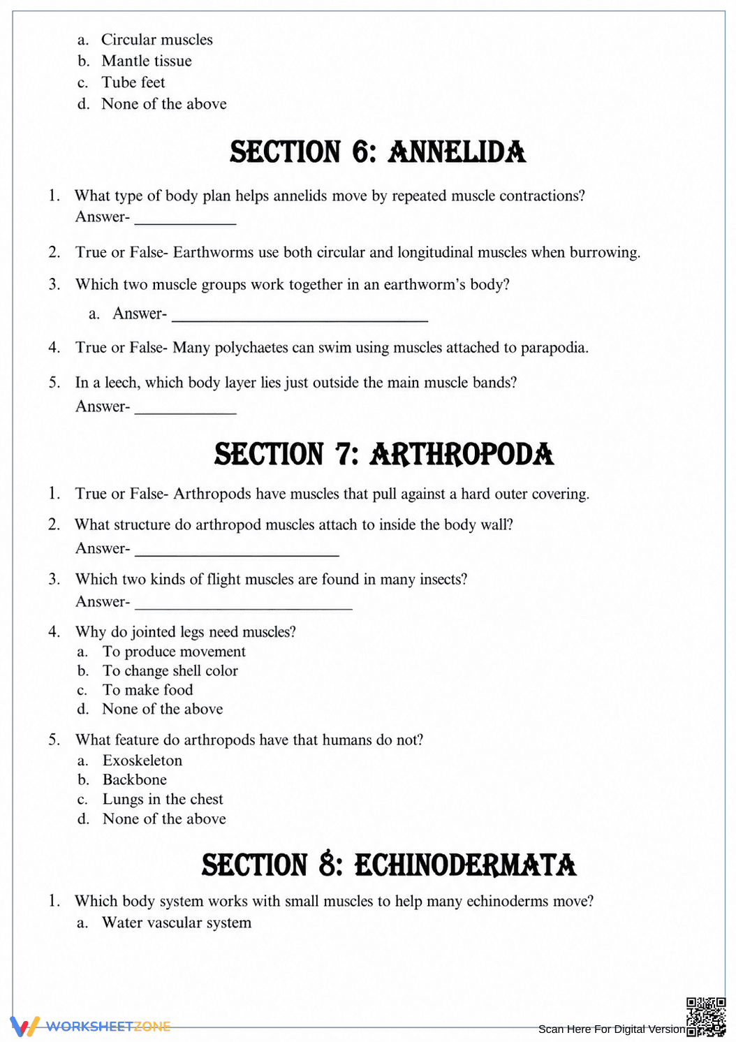 Printable Muscular System Evolution Worksheet | Grade 8-10 - Page 5