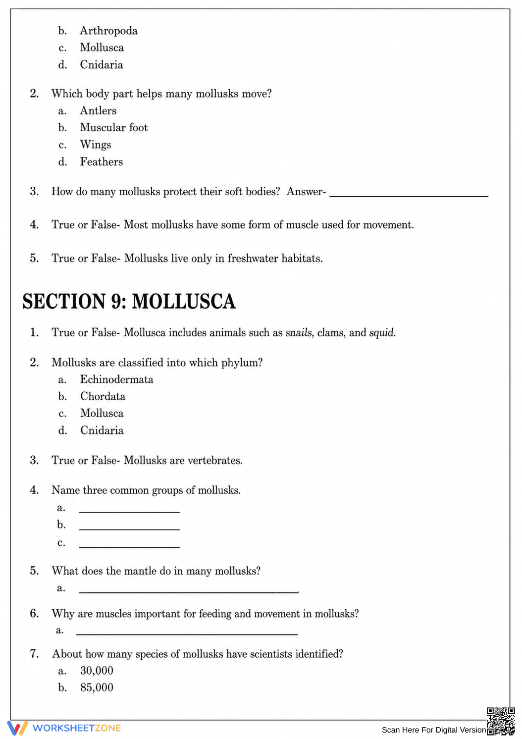 Printable Muscular System Evolution Worksheet | Grade 8-10 - Page 6