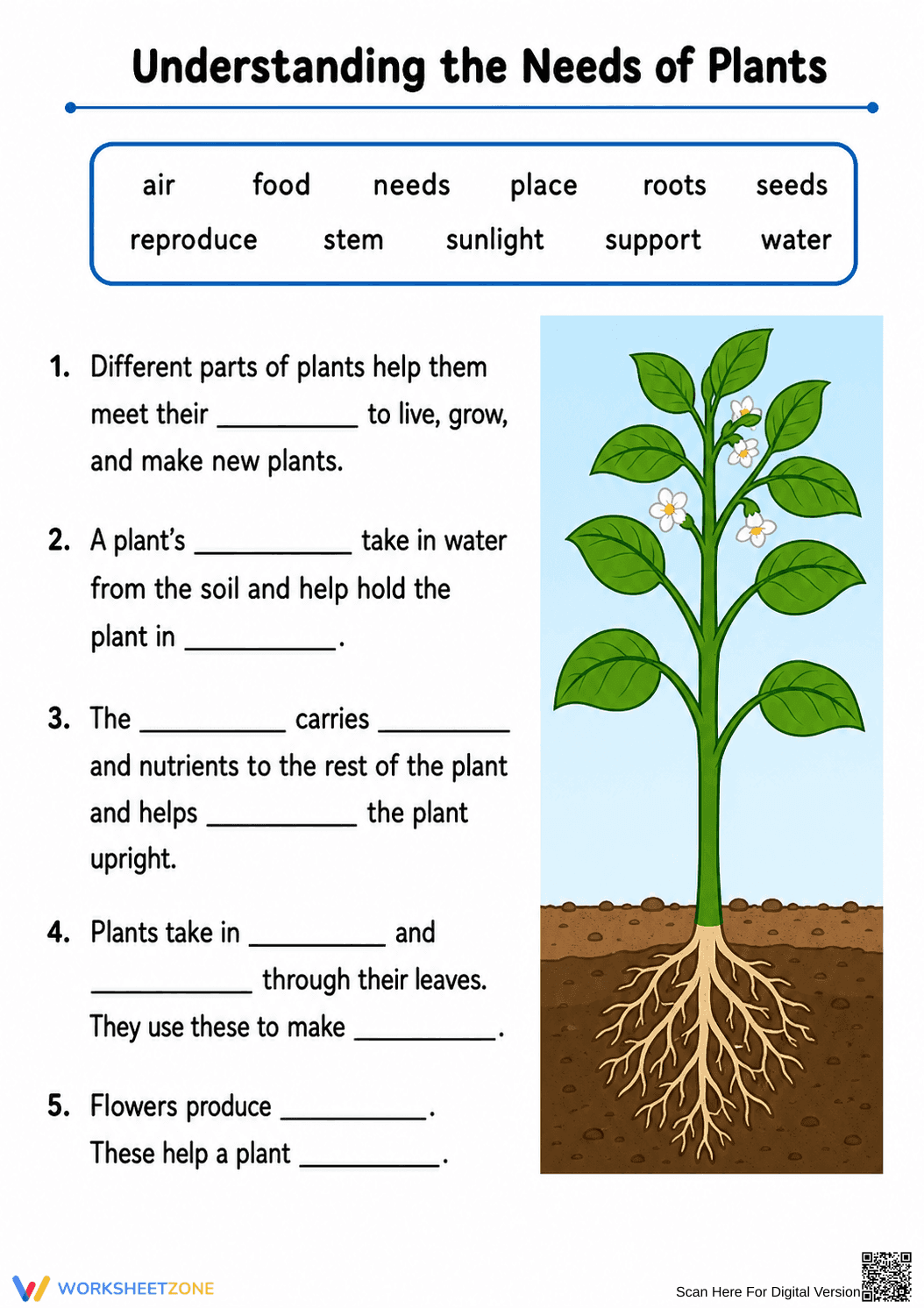 Needs of Plants | Essential Grade 3 Science - Page 2