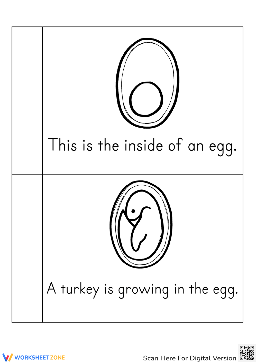 Turkey Life Cycle Coloring Book | Essential Grade 3 Science - Page 2