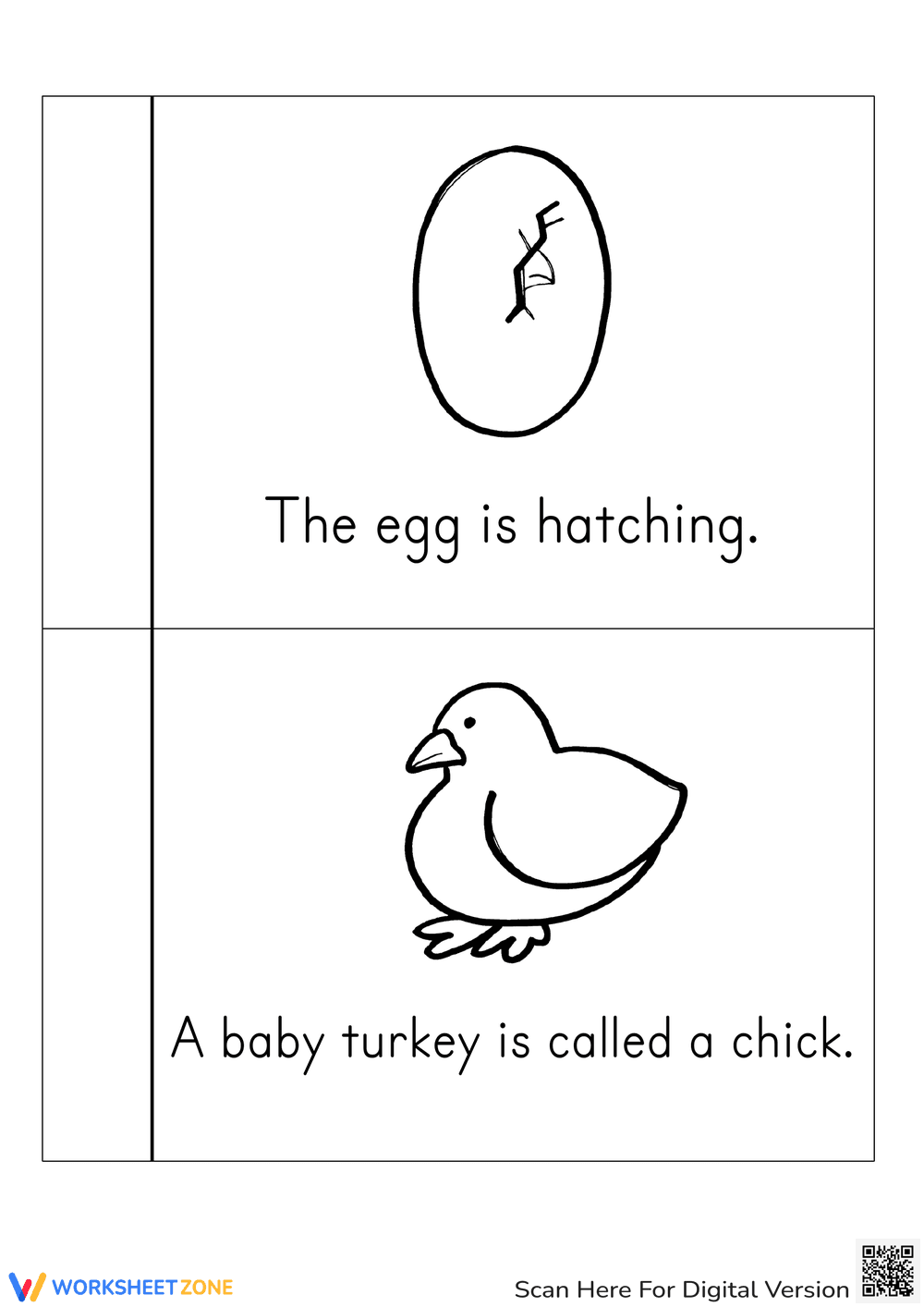 Turkey Life Cycle Coloring Book | Essential Grade 3 Science - Page 3