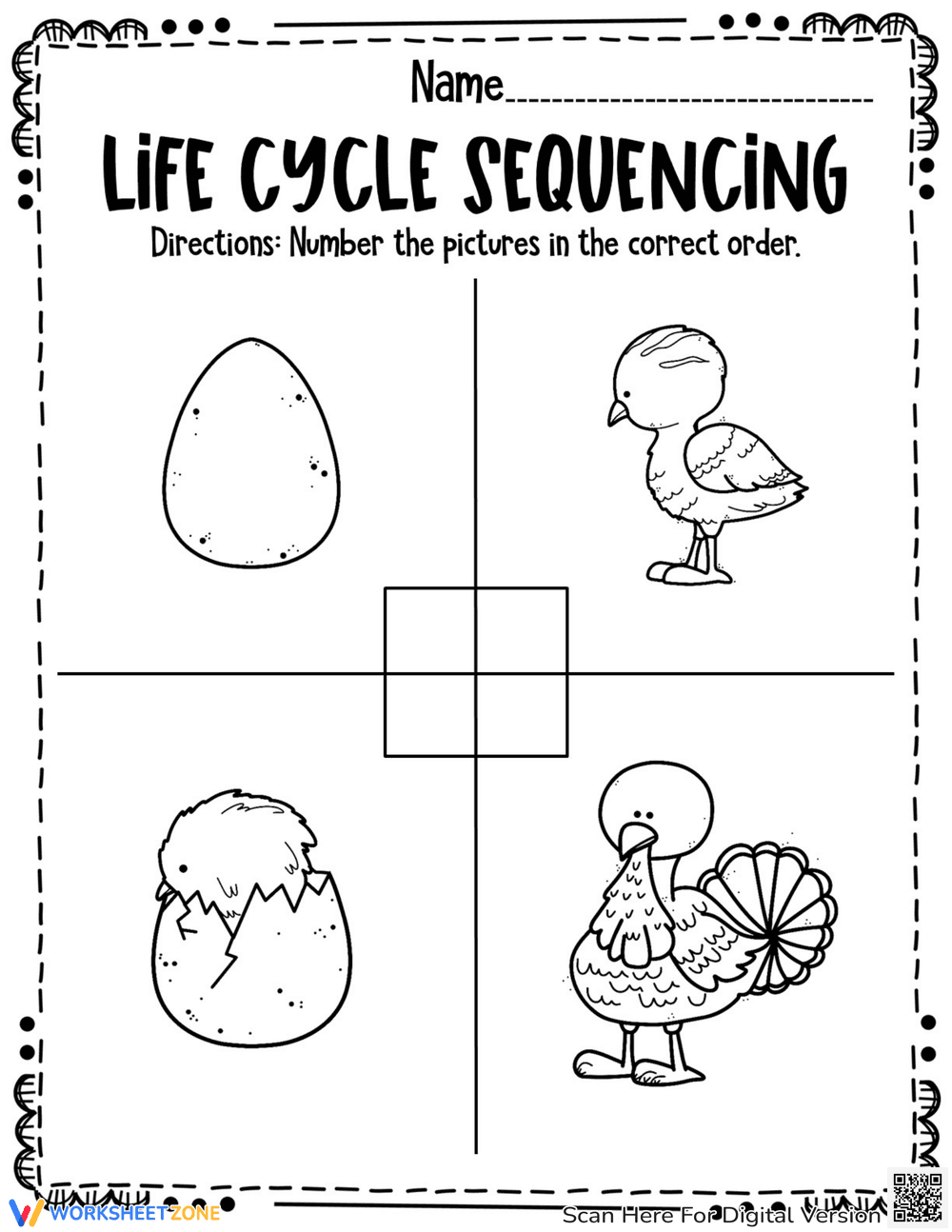 Turkey Life Cycle Worksheets: Science Education - Page 3
