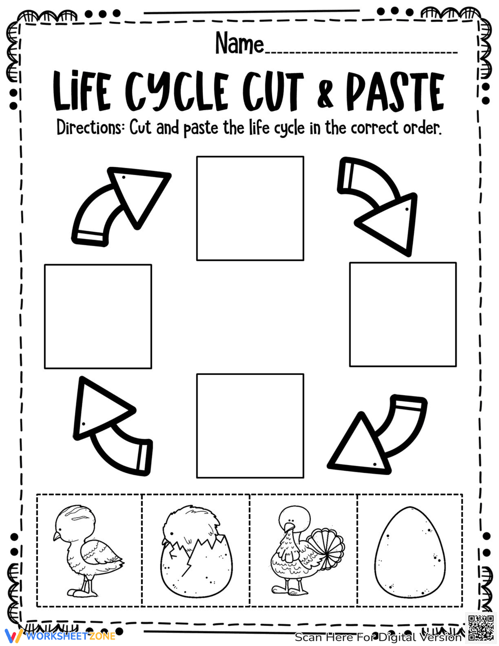 Turkey Life Cycle Worksheets: Science Education - Page 4