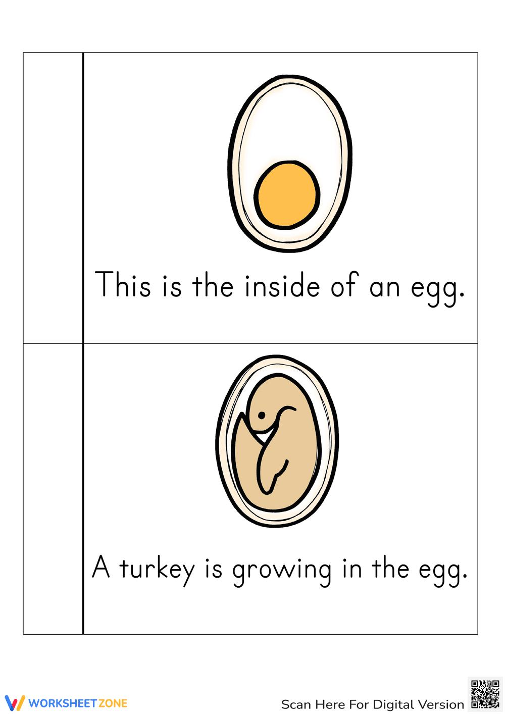 Turkey Life Cycle Printable Book | Grade 3 Science - Page 2