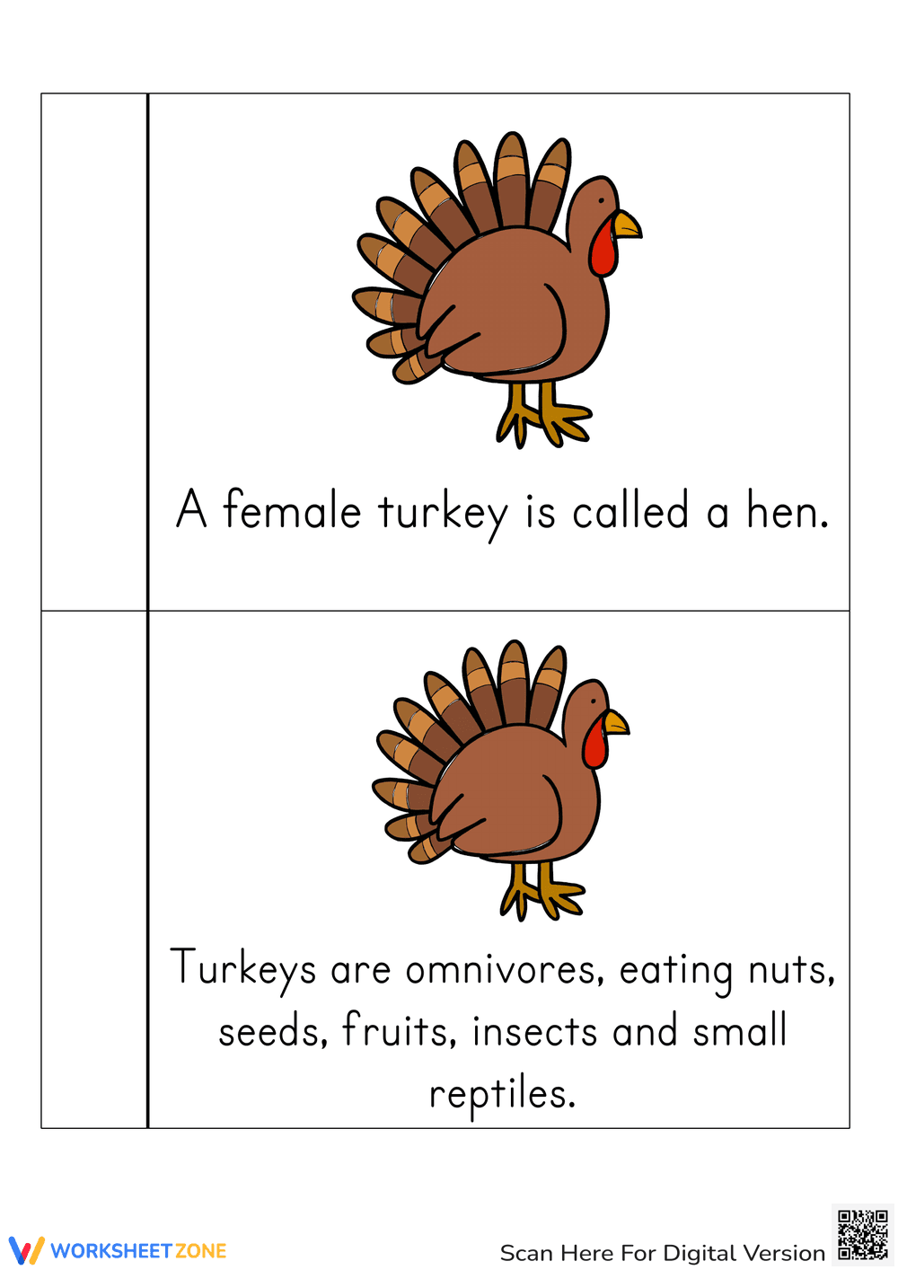 Turkey Life Cycle Printable Book | Grade 3 Science - Page 5