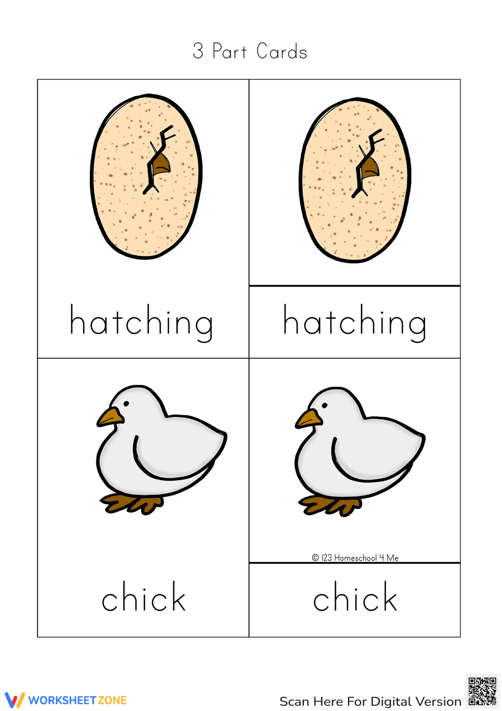 Turkey Life Cycle Science Cards | Grade 3 Essential - Page 2