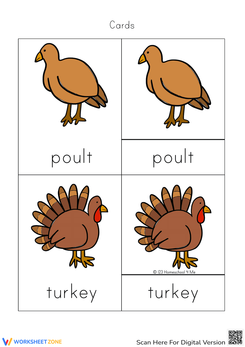 Turkey Life Cycle Science Cards | Grade 3 Essential - Page 3