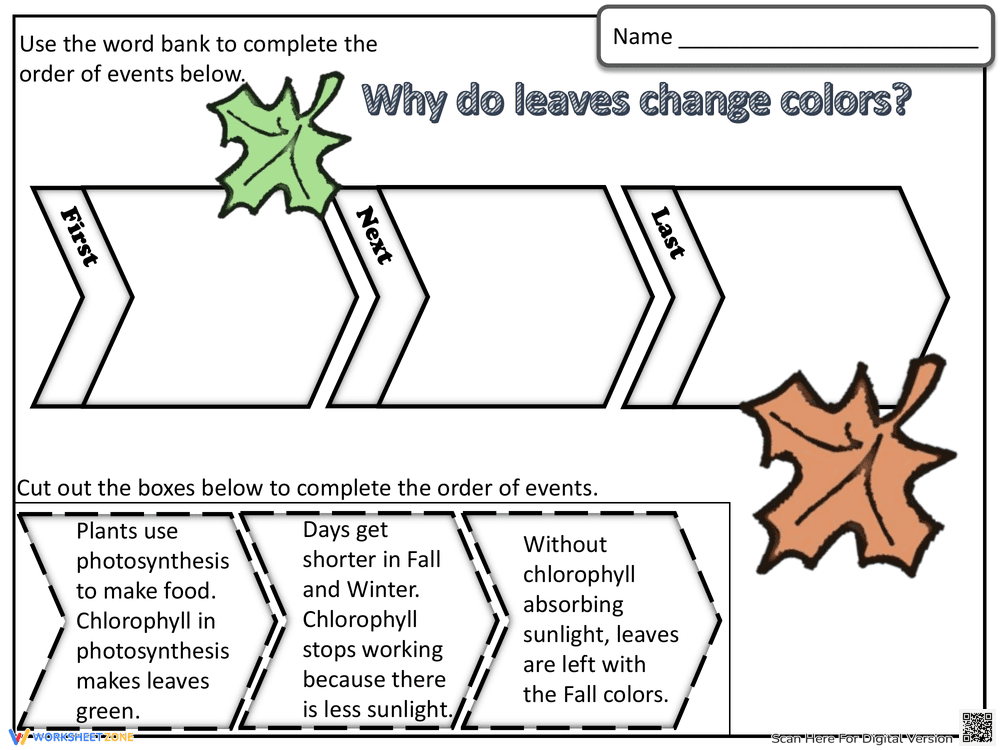 Why Do Leaves Change Colors? Printable Science Worksheet - Page 2
