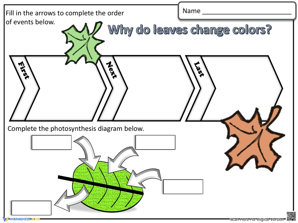 Why Do Leaves Change Colors? Printable Science Worksheet - Page 3