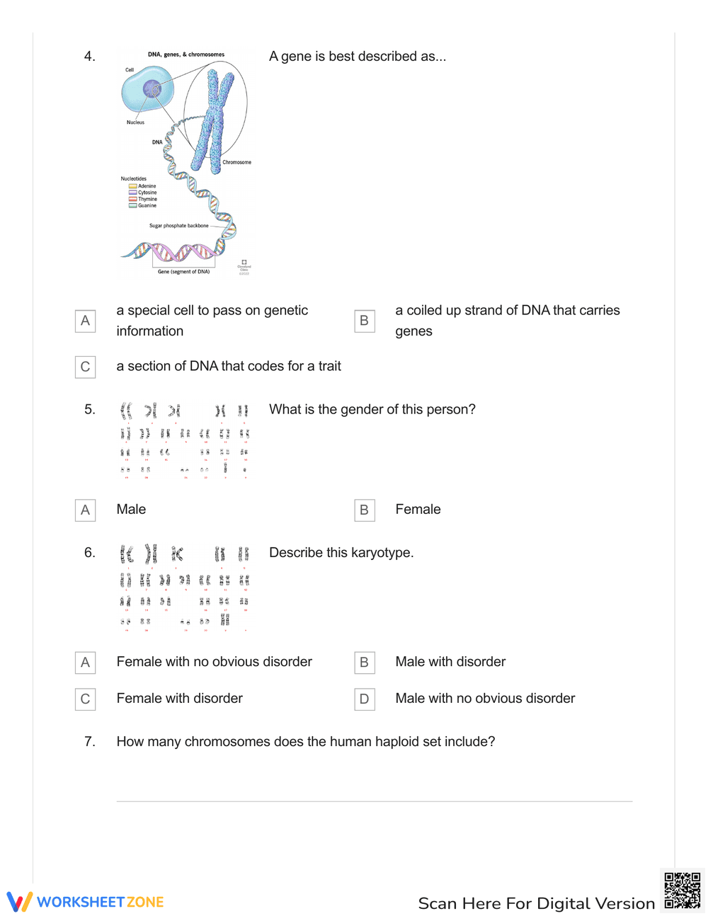 Karyotype and Lions Review Quiz - Page 2