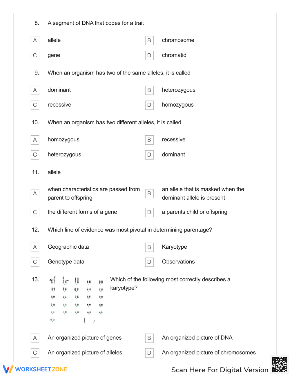 Karyotype and Lions Review Quiz - Page 3