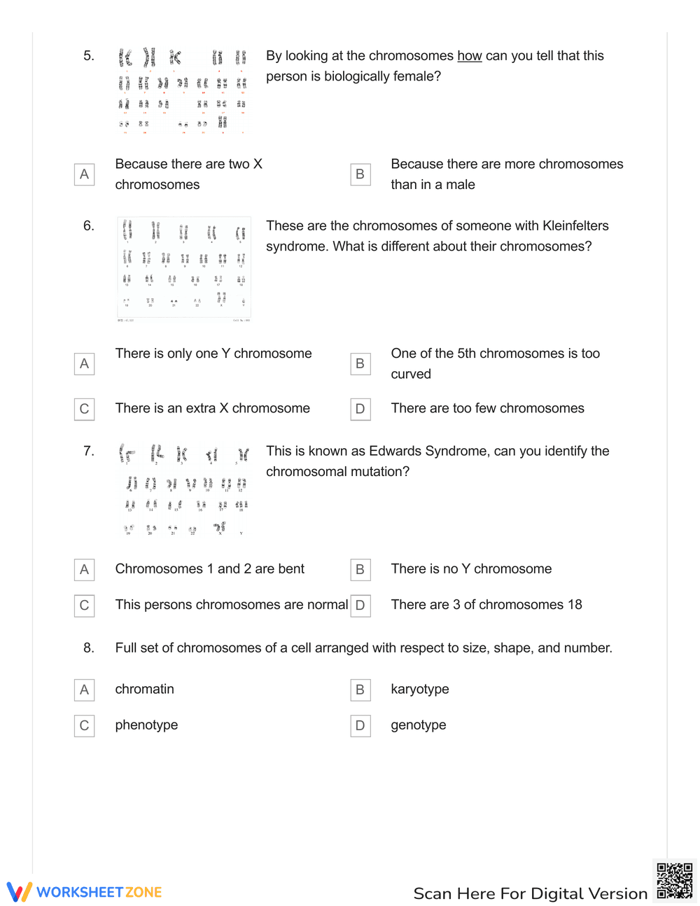 Karyotype Identification Skills - Page 2