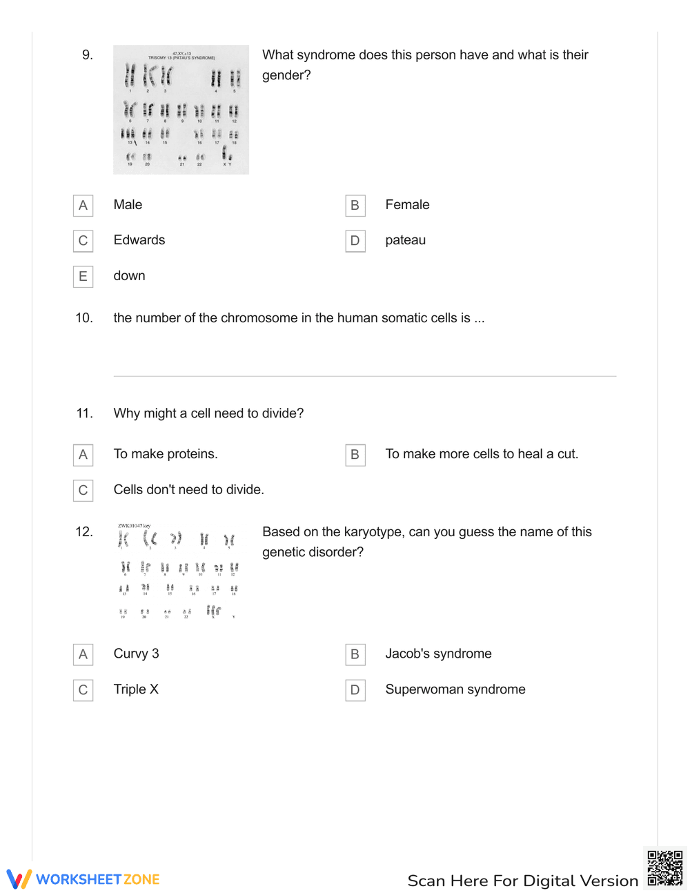 Karyotype Identification Skills - Page 3