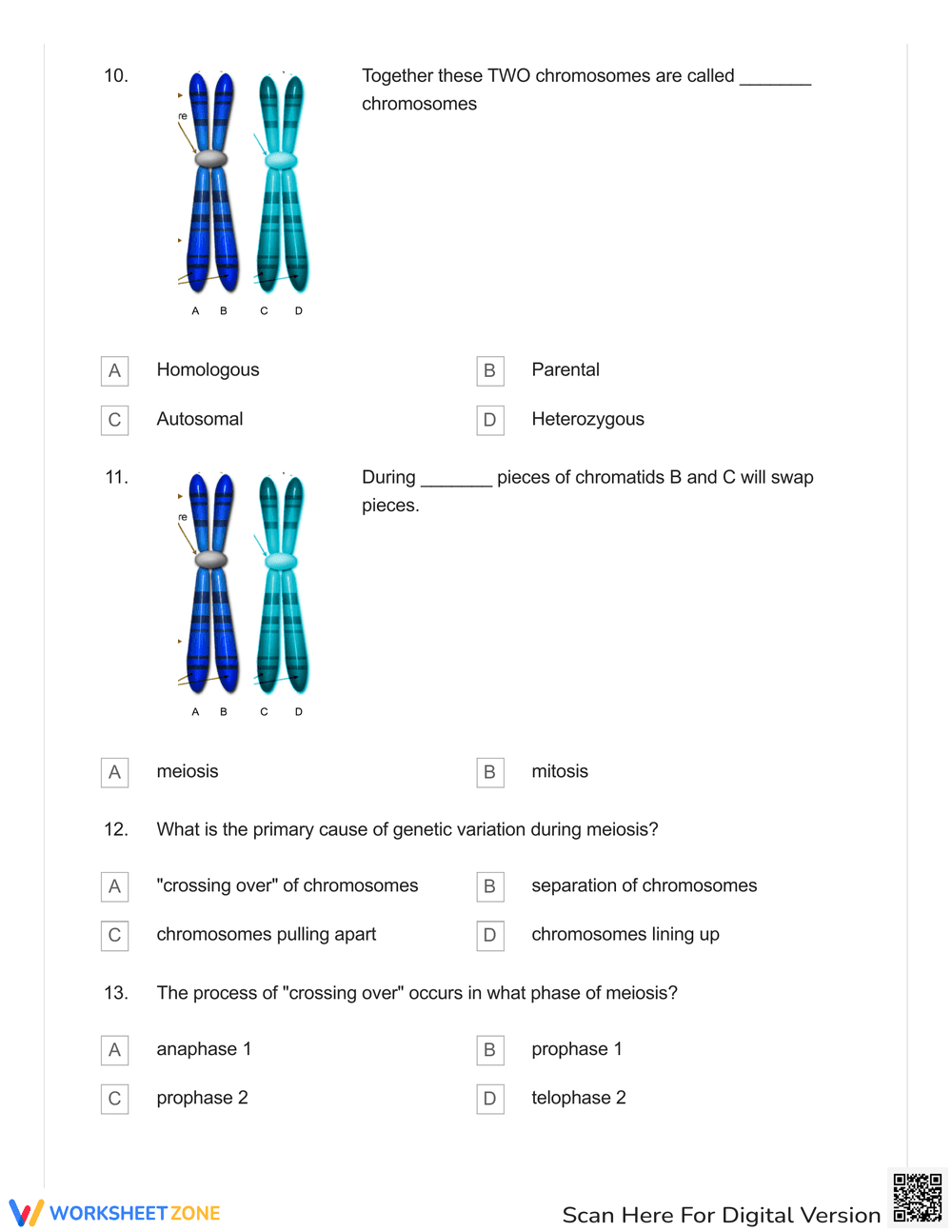 Explore Karyotypes and Mutations - Page 4