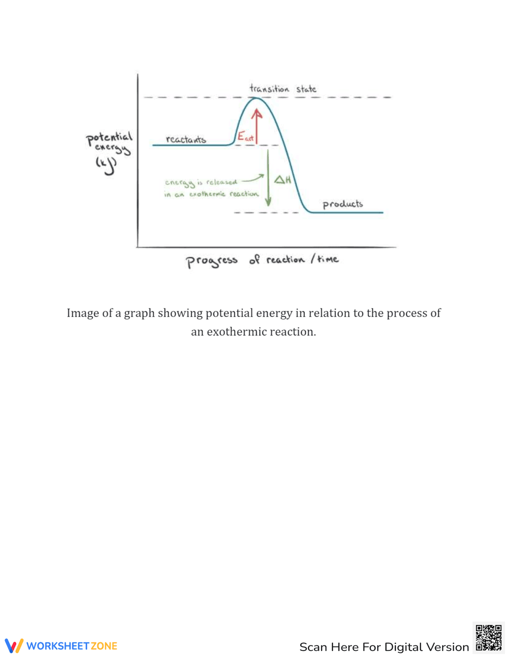 Endothermic and Exothermic Reaction Resources - Page 5