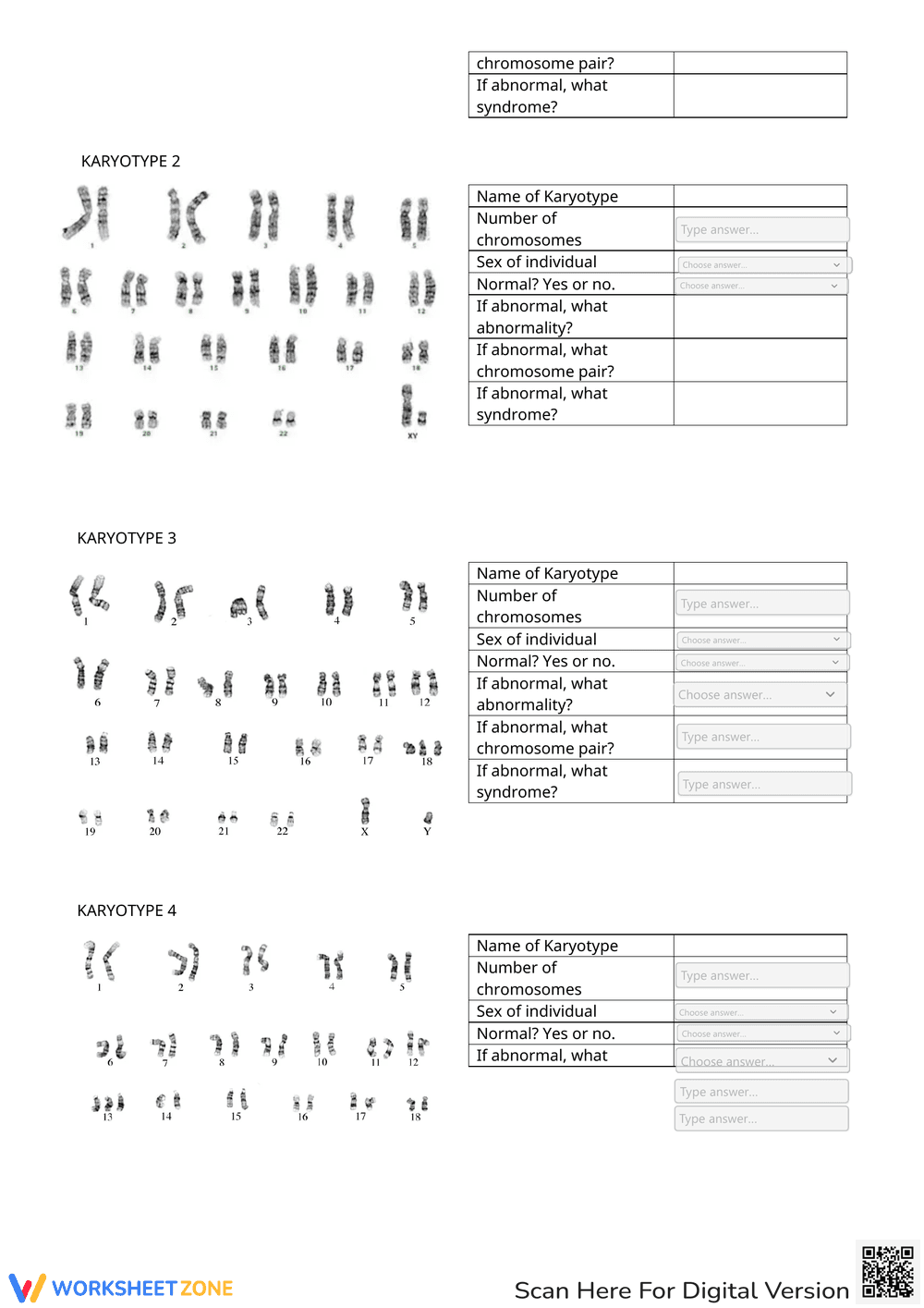 Karyotype Practice - Page 2