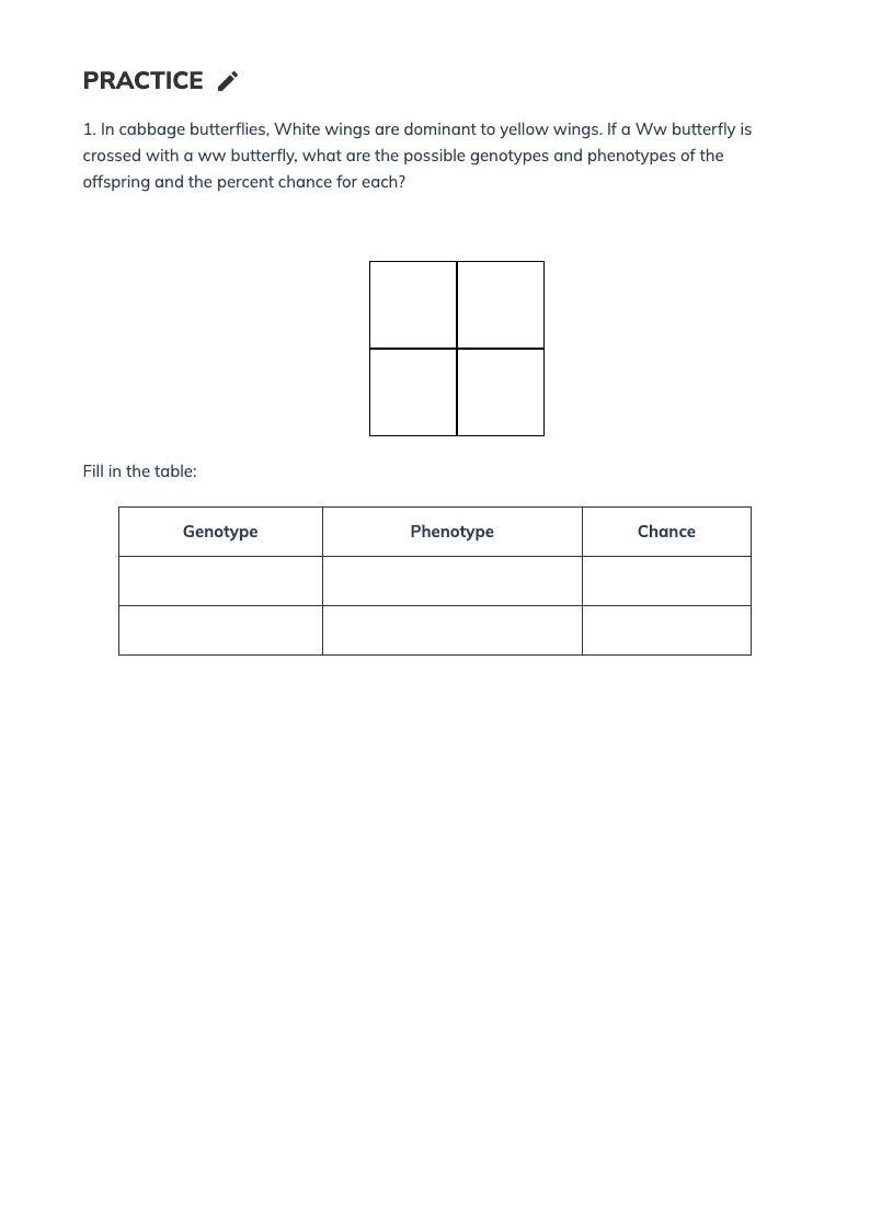 Punnett Square Practice: Genetics Worksheet for Genotypes & Phenotypes - Page 2